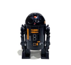 画像1: 2022 Stan Solo Custom R2-Q5