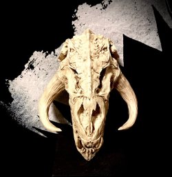 画像1: Mythosaurus Skull 1/12 scale 