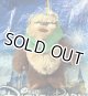 2024 Star Wars D23 Galaxy’s Edge Plush Ewok Wicket with Green Hood