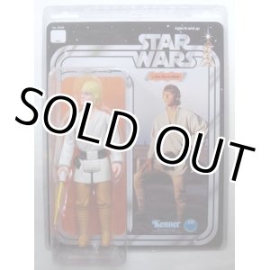 画像: GENTLE GIANT Vintage 12"Luke Skywalker C-8.5/9