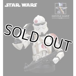 画像: GENTLE GIANT 2007 Convention Exclusive Commander Neyo Mini Bust C-8.5/9