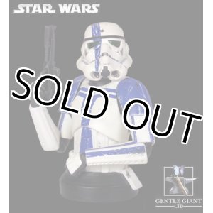 画像: GENTLE GIANT 2009 Star Wars Shop Exclusive Stormtrooper Commander Mini Bust C-8.5/9