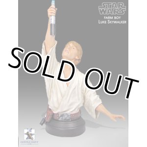 画像: GENTLE GIANT 2010 Luke Skywalker (Tatooine) Mini Bust C-8.5/9
