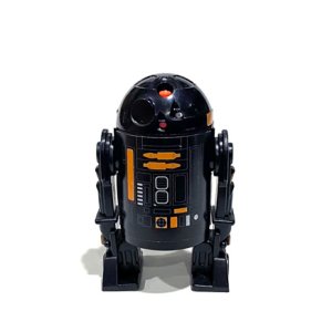 画像: 2022 Stan Solo Custom R2-Q5