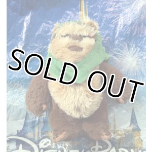 画像: 2024 Star Wars D23 Galaxy’s Edge Plush Ewok Wicket with Green Hood