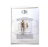 画像: 2008 HASBRO IG-97 Prototype (Test Shot) with COA (On Con. BB)