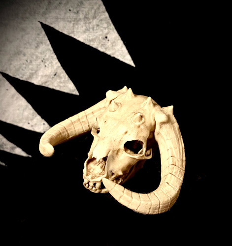 画像: Taun Taun Skull 1/6 scale 